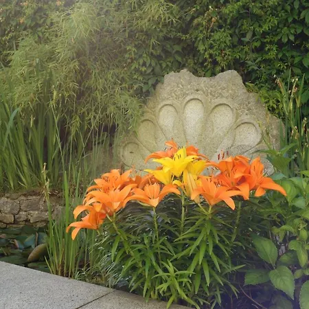 Sonnenstrahl Apartmán Mariánské Lázně