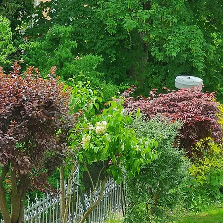 Sonnenstrahl Apartmán Mariánské Lázně