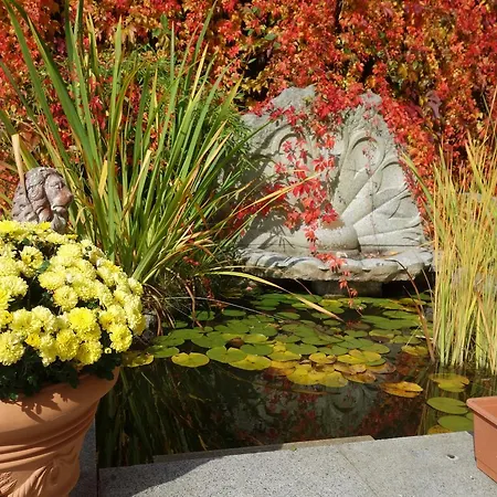 Apartmán Sonnenstrahl