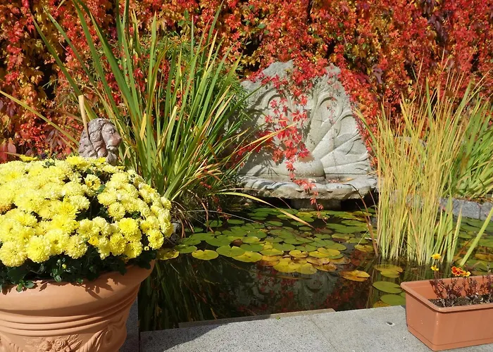 Apartment Sonnenstrahl