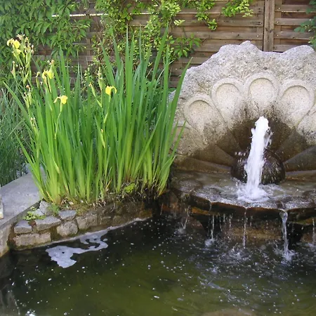 公寓 索乃恩斯特拉尔酒店 玛丽亚温泉