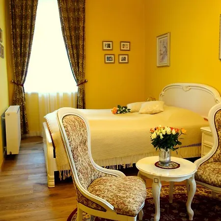 索乃恩斯特拉尔酒店 *