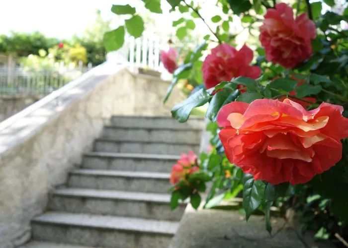 Apartment Sonnenstrahl *