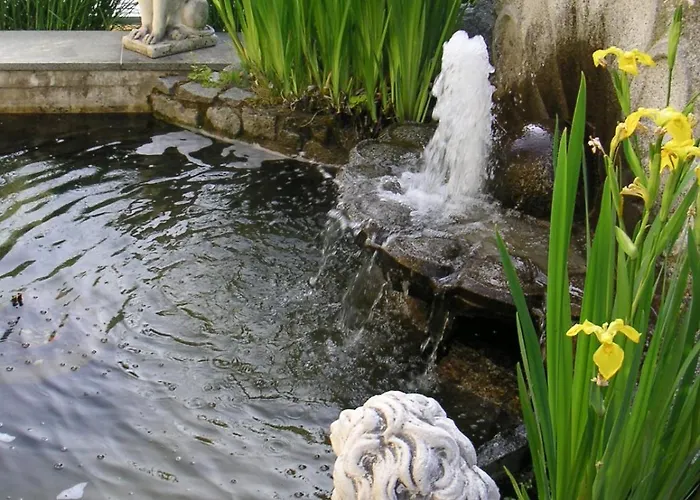 Apartment Sonnenstrahl *