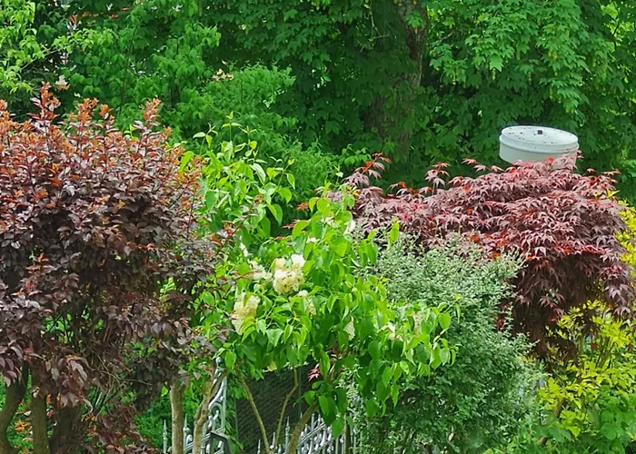 Sonnenstrahl Apartment Marianske Lazne